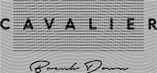 2025 latest edition-KNY 961